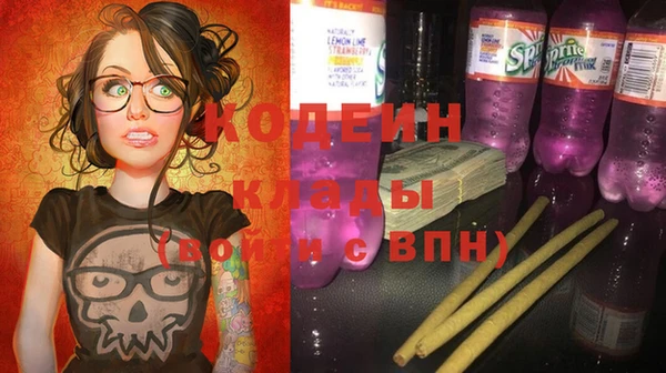 молекула духа Богданович