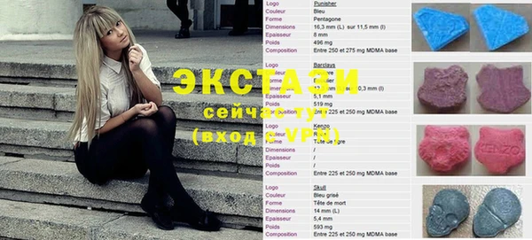 молекула духа Богданович