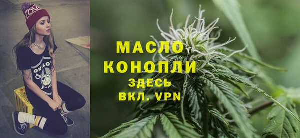 дмт Богородицк