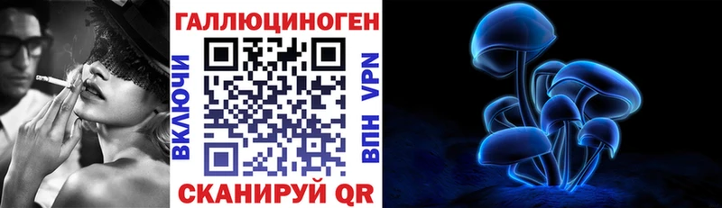 Галлюциногенные грибы Psilocybe  Жуков 